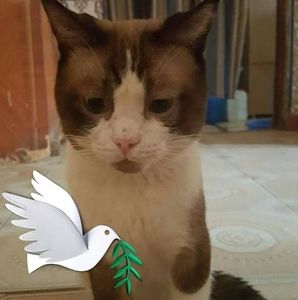 Meet your Posher, Titi